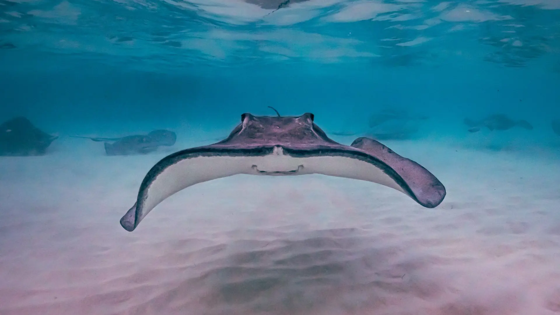 Record keeping update: Cayman Islands regulated entities
