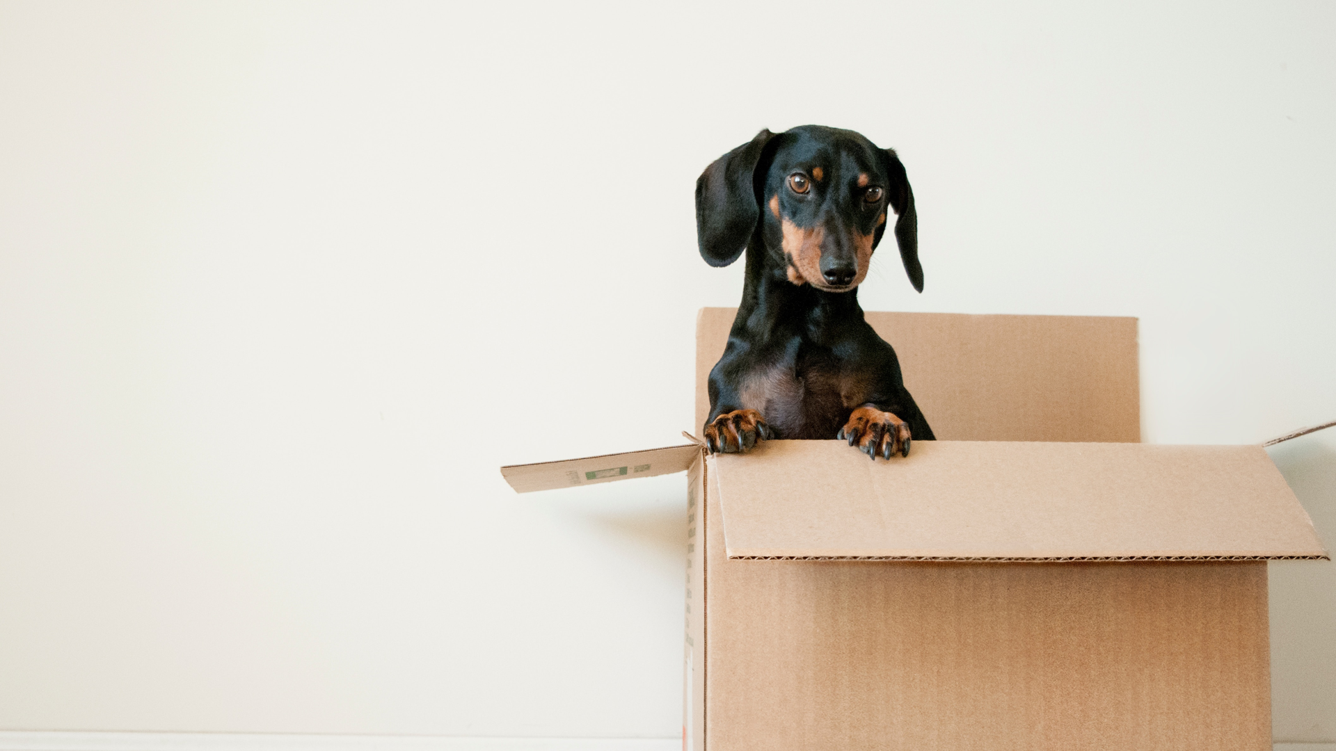 New guidance for first-time buyers in Jersey - who qualifies?