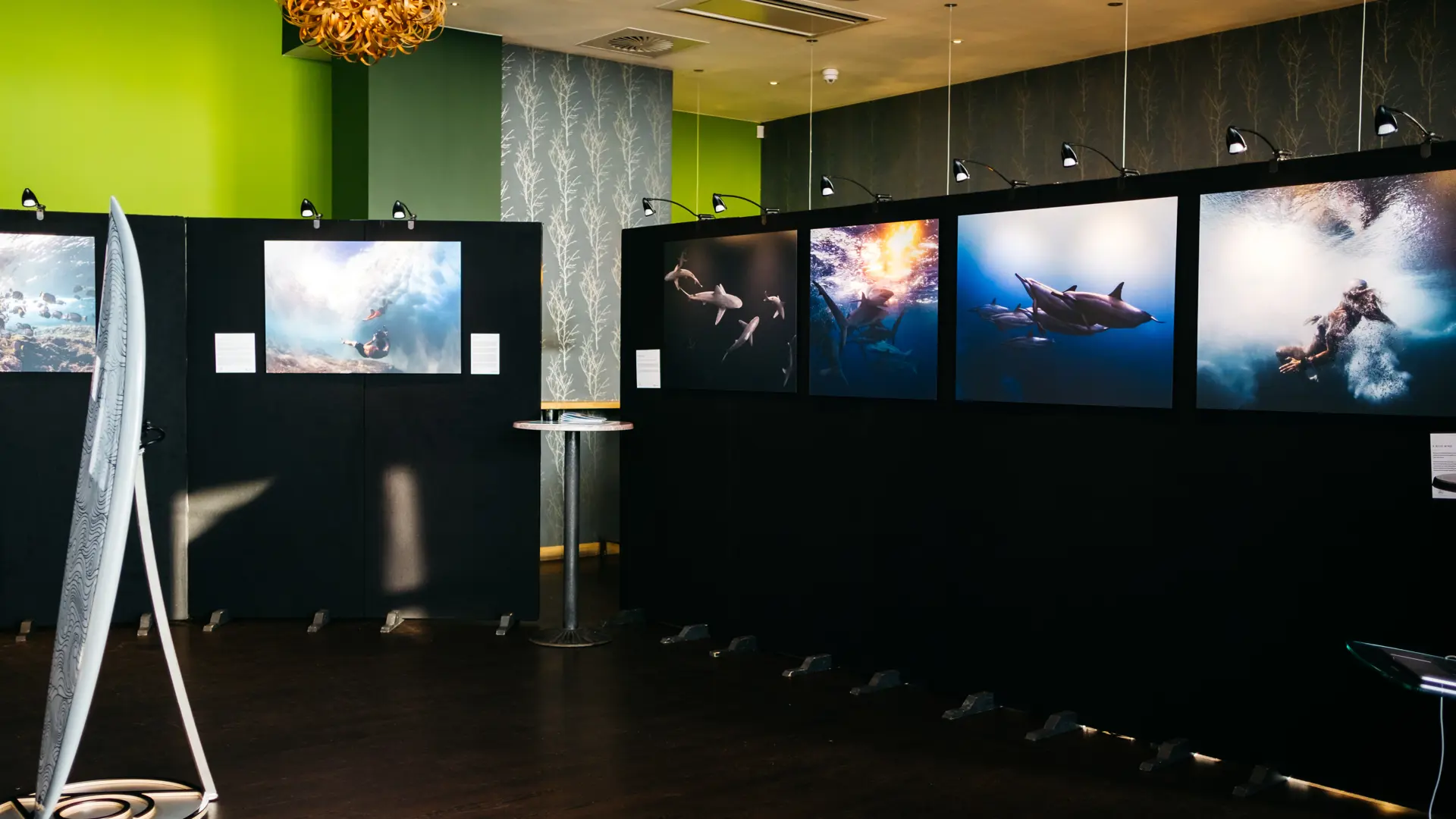 Supporting Ocean Culture Life