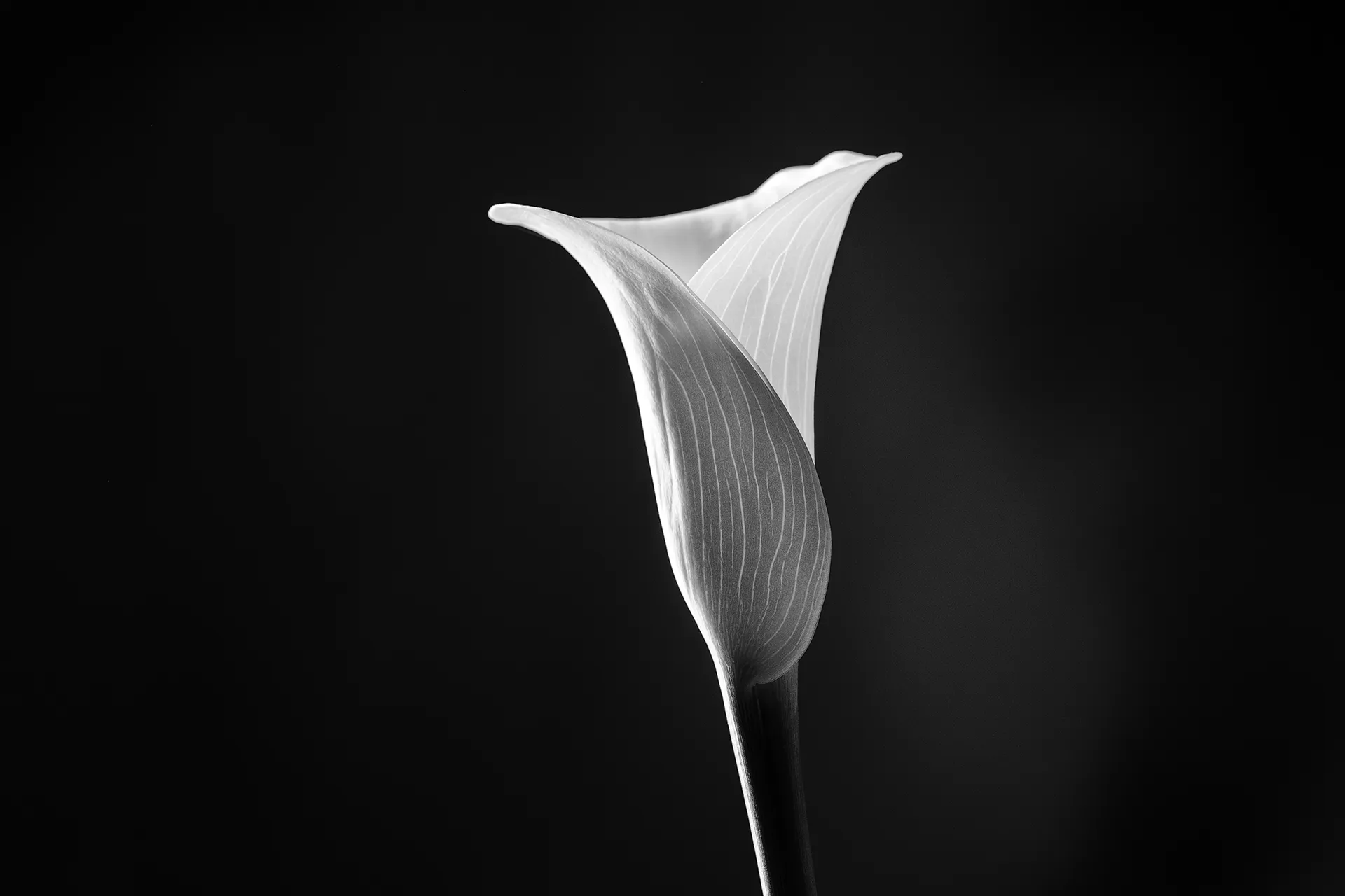 Environment 6