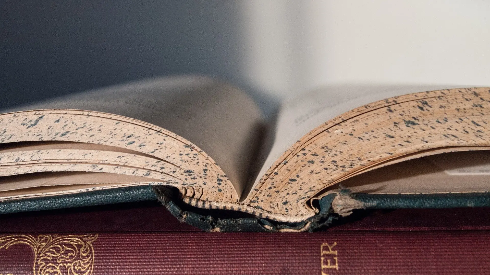 The importance of reviewing your will and estate planning