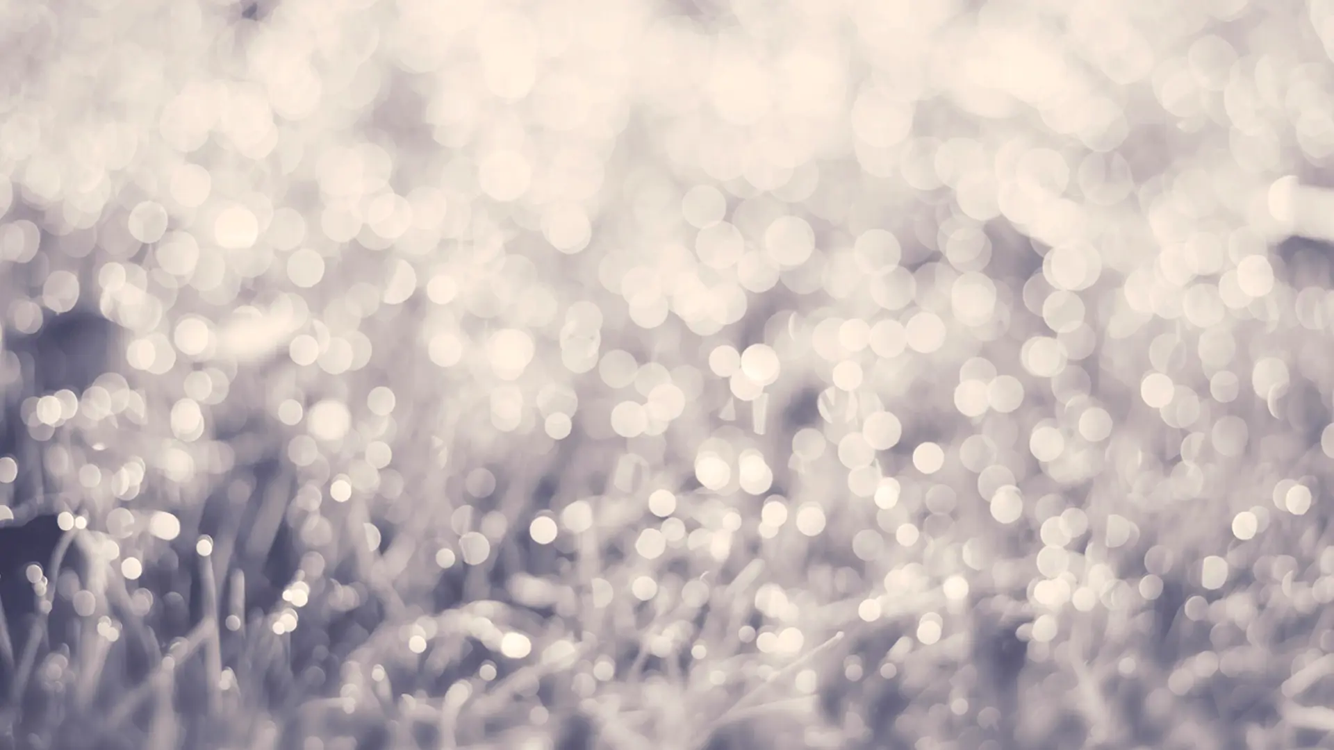 Partner named Woman of the Year – Professional Services