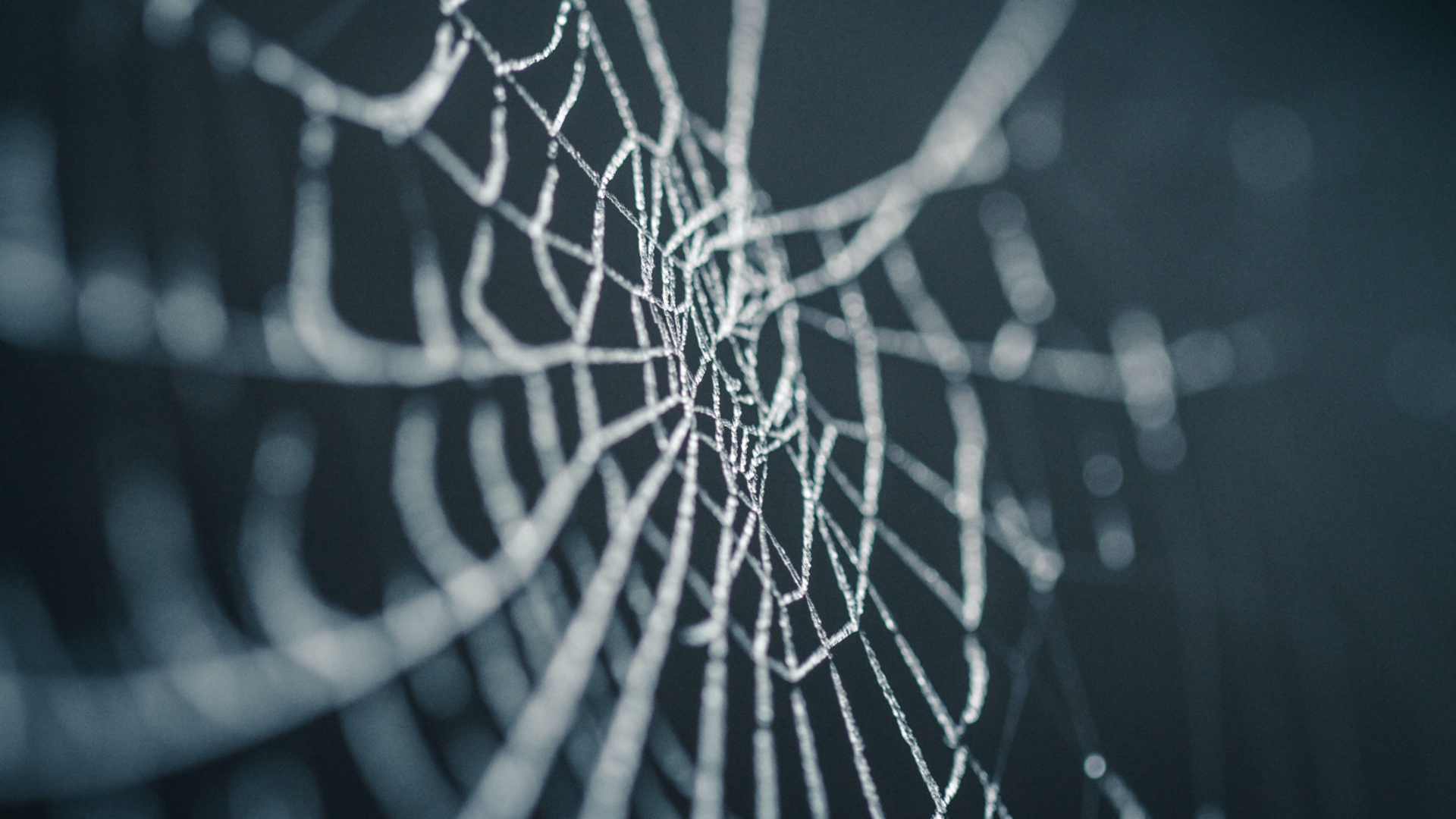 Untangling the Webb: An offshore perspective on the Privy Council case of Webb v Webb