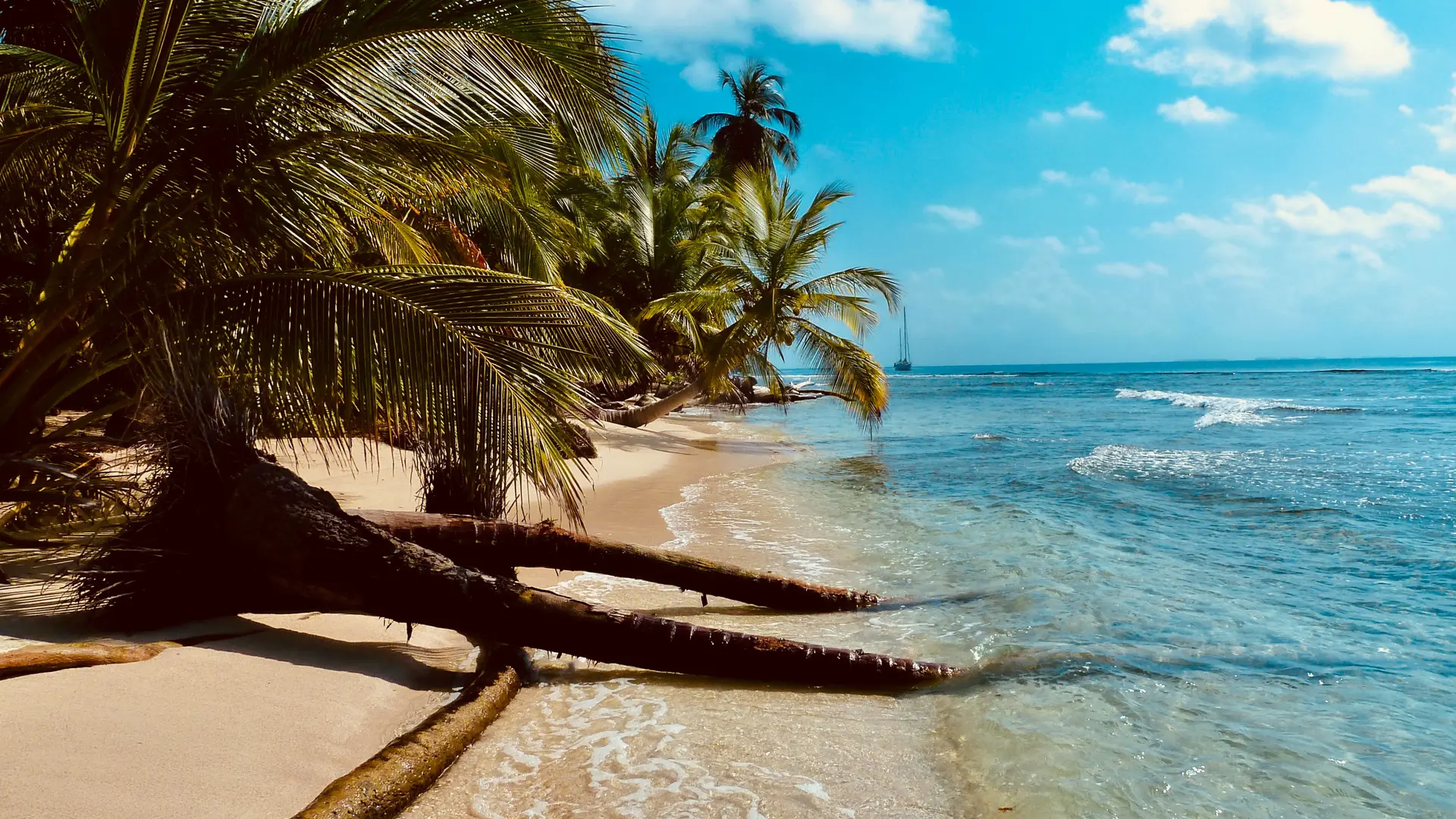 The Caribbean Turquoise Bond: An achievable prospect or just a beautiful fantasy?