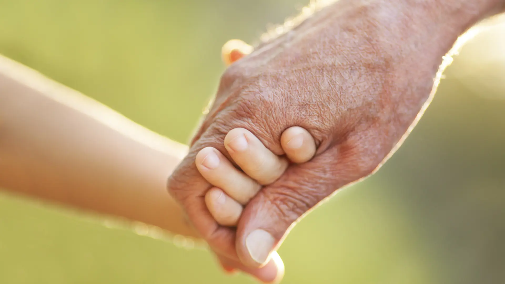 Facilitating the harmonious transition of wealth across generations