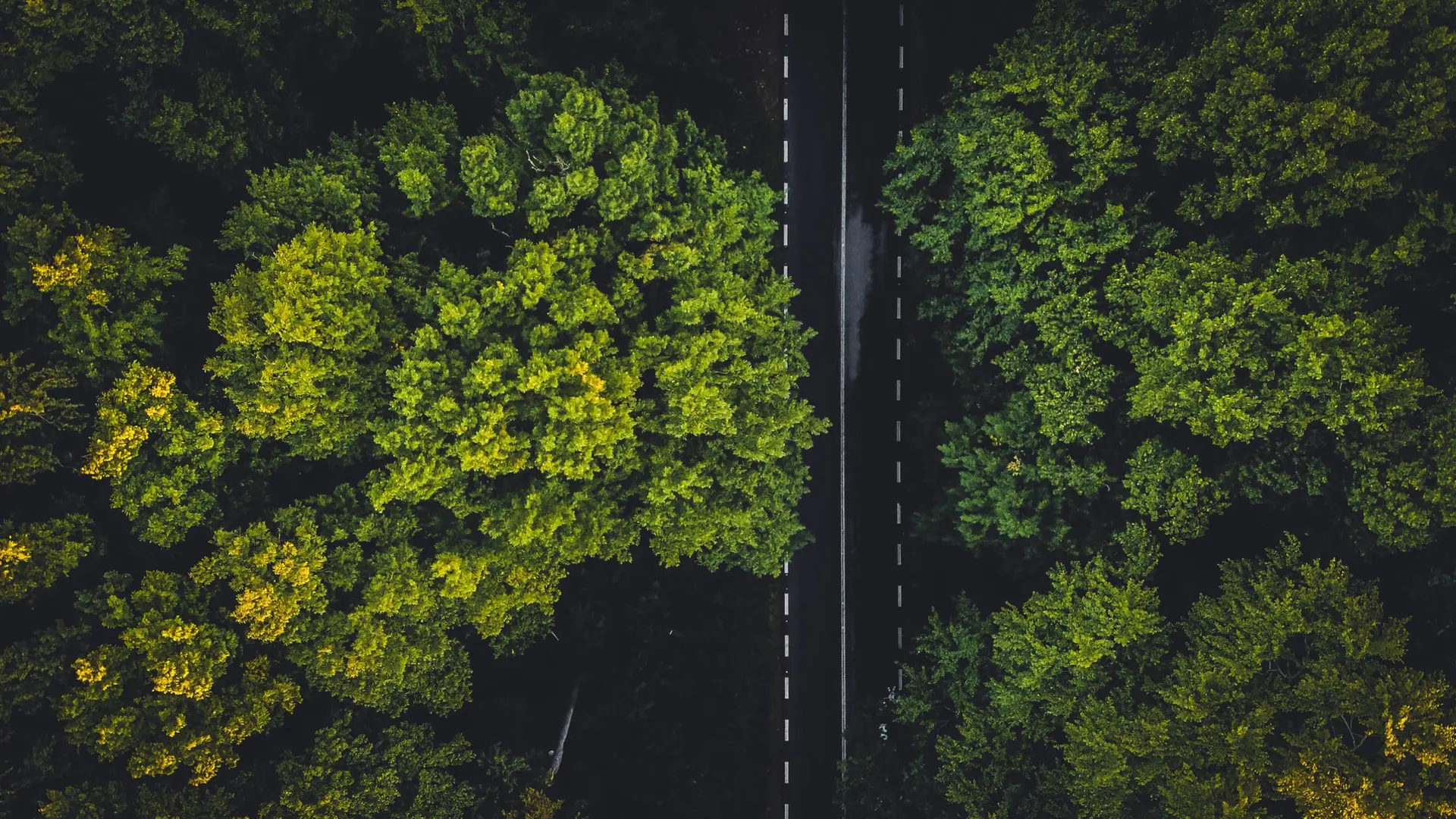 Where sustainability and technology meet: Connectivity and collaboration key to move forward