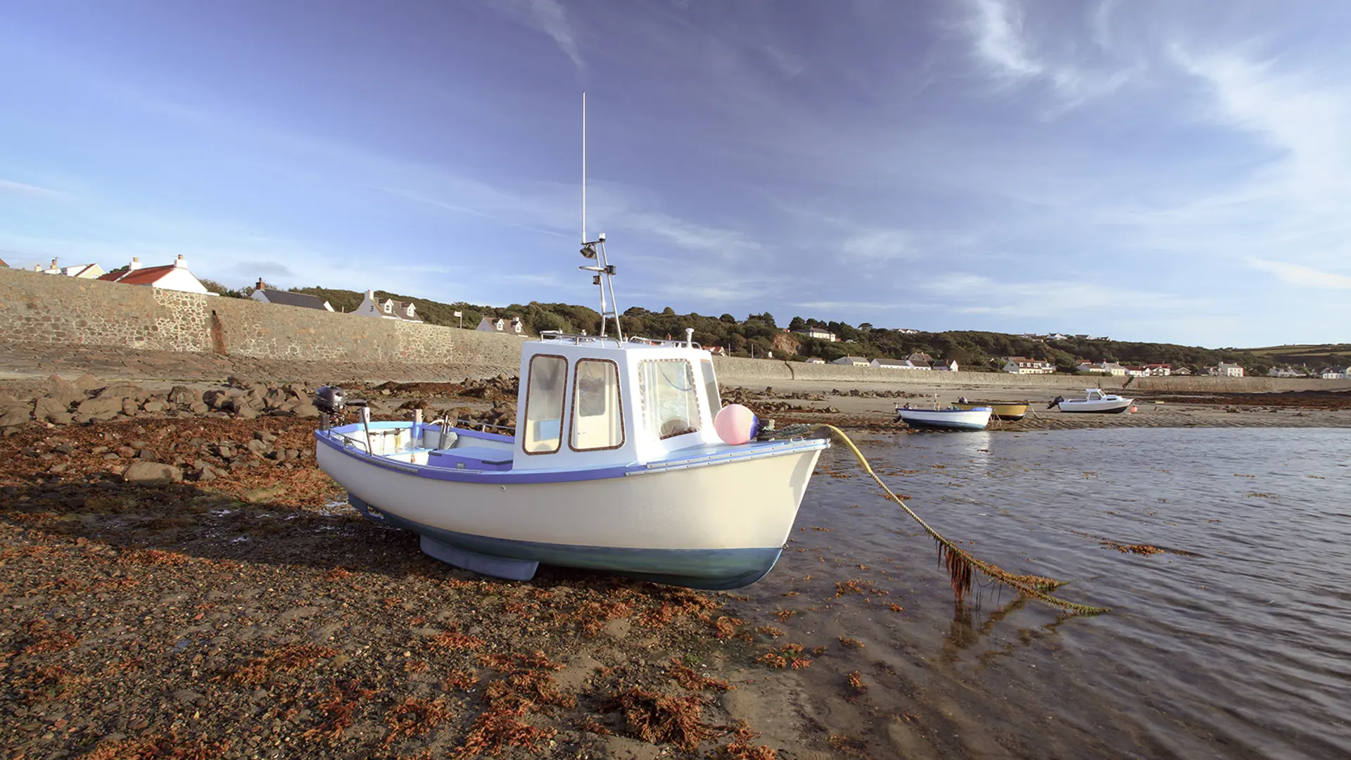 Clarification on GFSC mandate