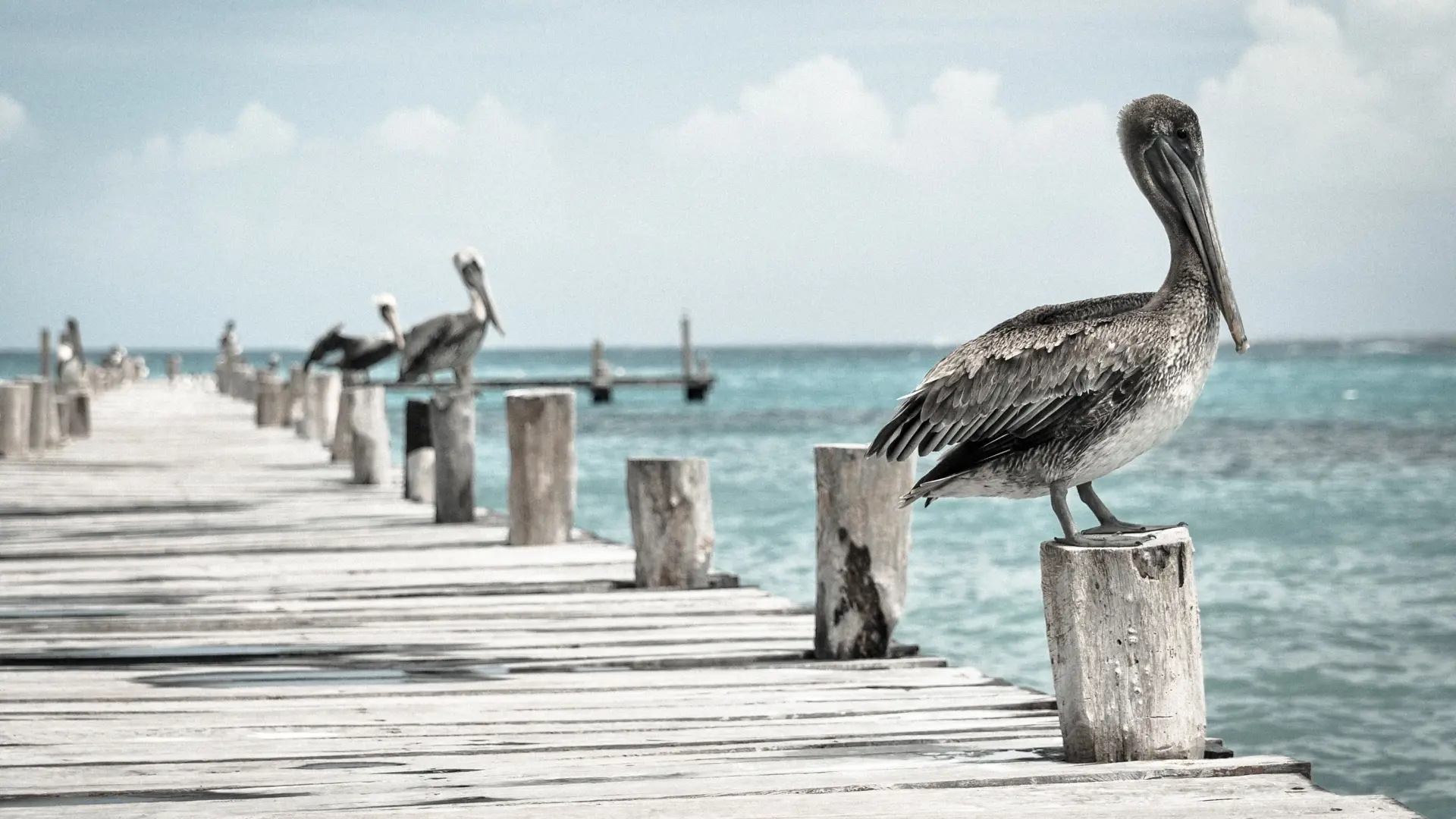 Corporate governance update: Cayman Islands regulated entities
