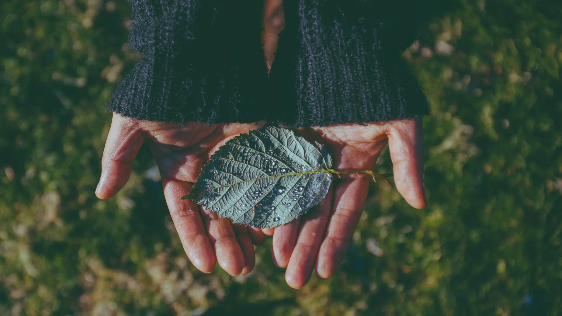 Options for offshore structuring for philanthropic giving