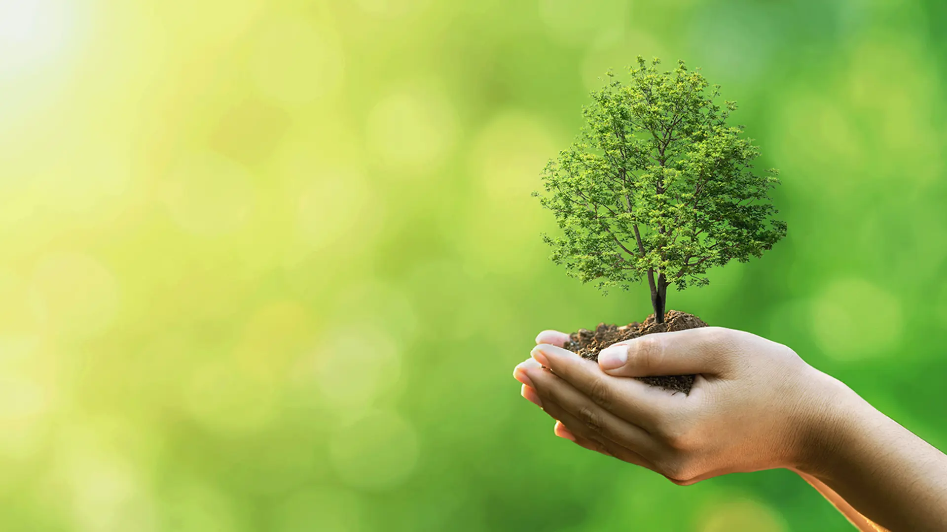 Jersey: ESG comparative guide