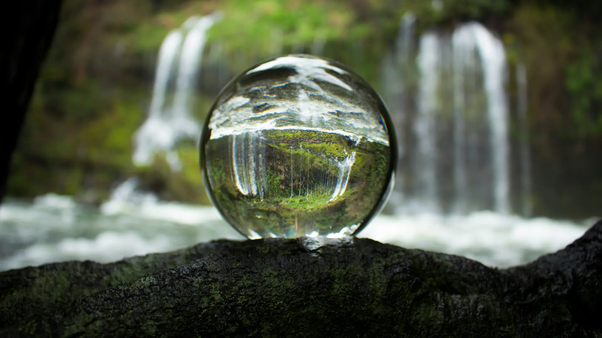 Successful succession: Personal investment holding companies in the BVI